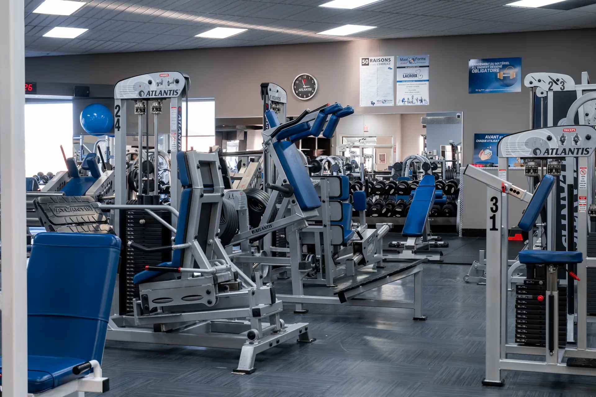 Maxiforme - Charny - Miniature 6