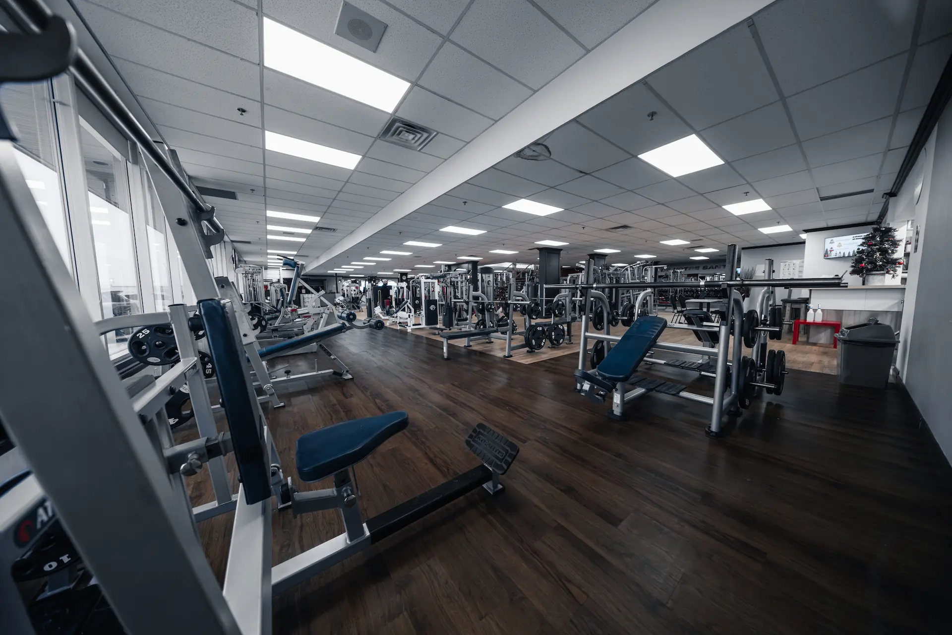 Maxiforme - Lévis - Miniature 2